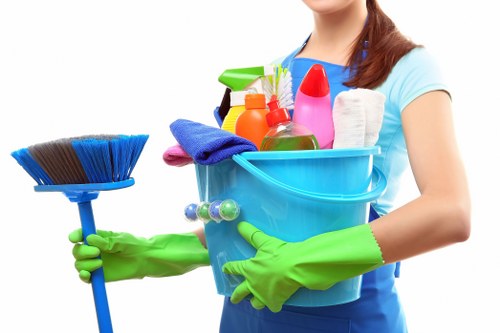 Carpet cleaning in Locks Bottom for stain and odour removal
