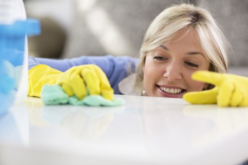 Professional pet stain cleaning in Locks Bottom home