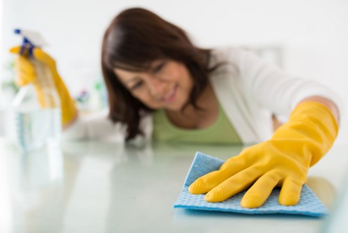 Carpet cleaner treating traffic lanes and stains in a room