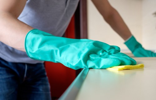 Removing pet odours from upholstery in Locks Bottom