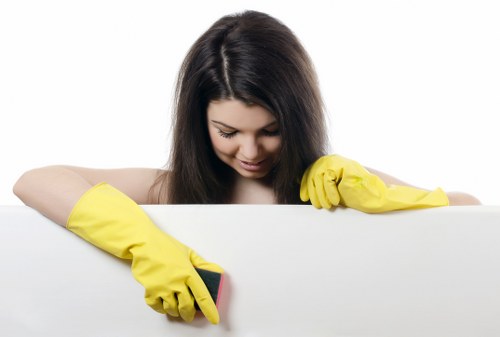 Cleaning equipment used for mattress cleaning in Locks Bottom homes